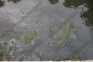 Photo of Various Textures